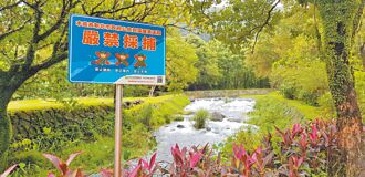 新北封溪護魚 近３年開罰126萬
