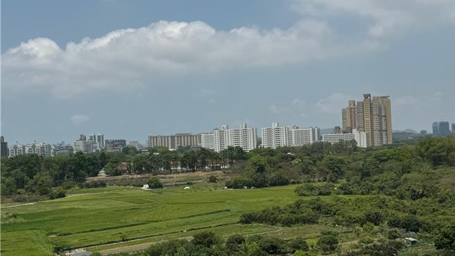 欧美建设在文龙路生活圈推出「向森青」景观宅，正对16万坪的凤山园艺试验所。（柯宗纬摄）