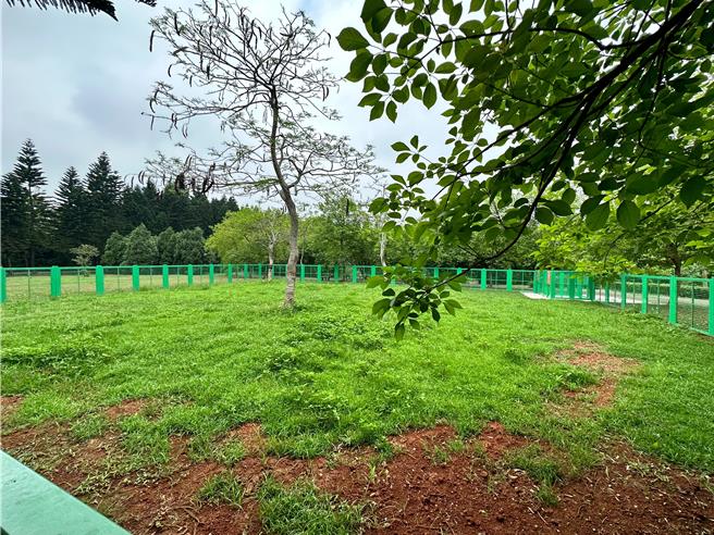 中坜过岭森林公园的宠物友善专区，张晓昀发现有入口铁门无法正常闭合上锁，且杂草丛生、宛如工地等缺点。(张晓昀提供／蔡依珍桃园传真)