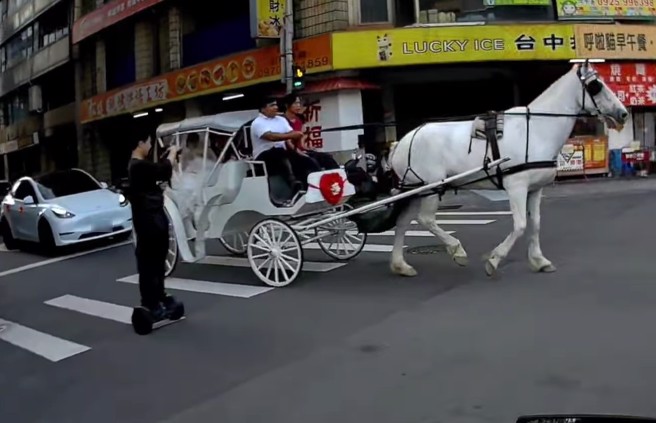 台中火車站附近，今天早上有對新人結婚，坐上浪漫的馬車，但警方表示沒有申請路權，將會開罰。（翻攝爆料公社）