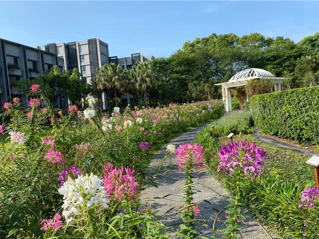 获国际永续饭店认证的秧悦美地，在酒店的园区内种植各式香草植物。（花莲秧悦美地渡假酒店提供）