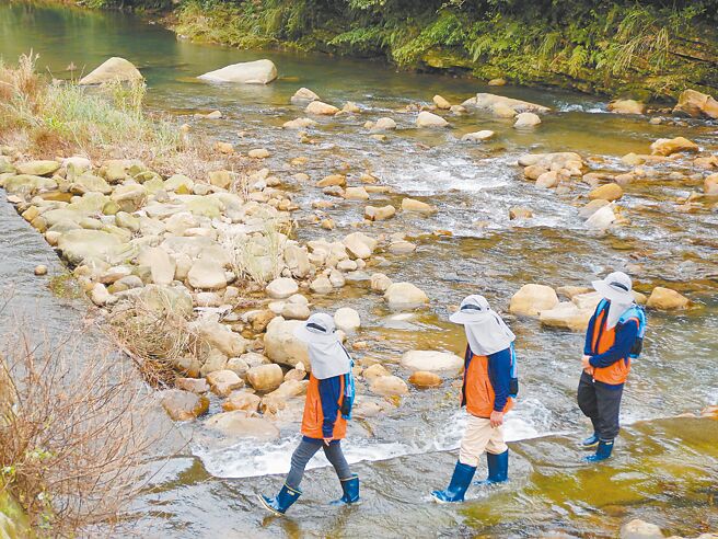 为保育溪流环境生态，新北市各区公所皆有编制巡守队就封溪护鱼巡查。（新北市农业局提供／陈慰慈新北传真）