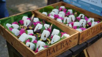 品觀點｜客家悅讀節走讀美濃原鄉 細品文學裡的愛情飯糰