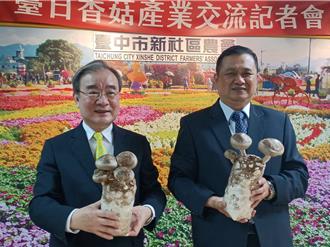香菇太空包产量减3成 日专家将来台研发耐热新品种