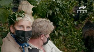 艾倫回來了！美國脫口秀女王大開斜槓 以保育議題紀錄片重返電視圈