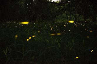 新北推3場文化之旅 探索境內流域沿岸城市