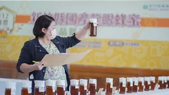 竹縣蜂農遇暖冬 龍眼蜜採收量遽減今年評鑑停辦