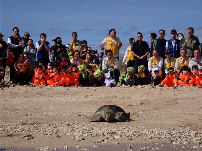 海委會海保署與國立海洋生物博物館收容中心在恆春後壁湖合辦「傷病海龜收容照養、野放及保育宣導活動」。（海保署提供／林瑞益高雄傳真）