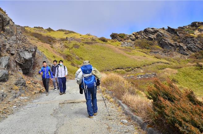 合欢山花季期间，太管处公告合欢主峰步道即日起至8月18日封闭修路，网友怒轰「不乐见国家公园水泥化」。（太管处提供／杨静茹南投传真）