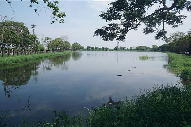 海丰溼地景色优美，生态丰富，有「屏东市后花园」之称。（罗琦文摄）