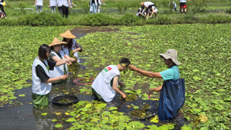 守護自然家園 信義房屋志工助高雄水雉生態