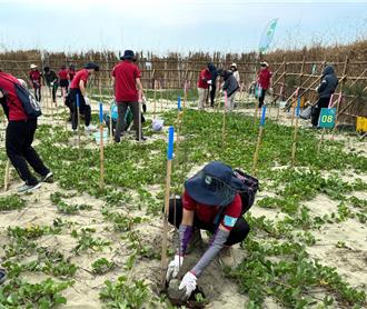 台積電攜手林業署守護海岸線 將在台南馬沙溝造林1公頃