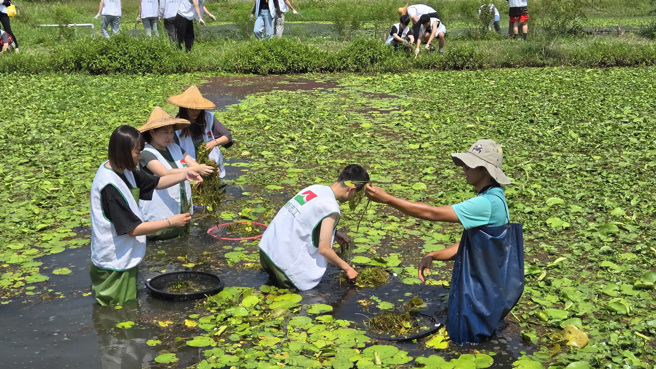 信義志工4月17日前往高雄美濃湖水雉復育工作站，協助棲地水草整理、搬運。(圖/信義房屋 提供)