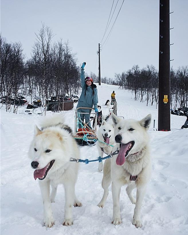 王心恬前往挪威北部Huskyfarm Innset的雪橇农场体验雪橇狗行程。（凯渥提供）