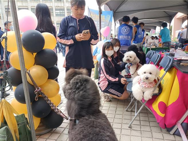 致用高中为让学生体验生命教育，23日举行宠物日活动，孩子带着心爱的宝贝一起上学。（陈淑娥摄）