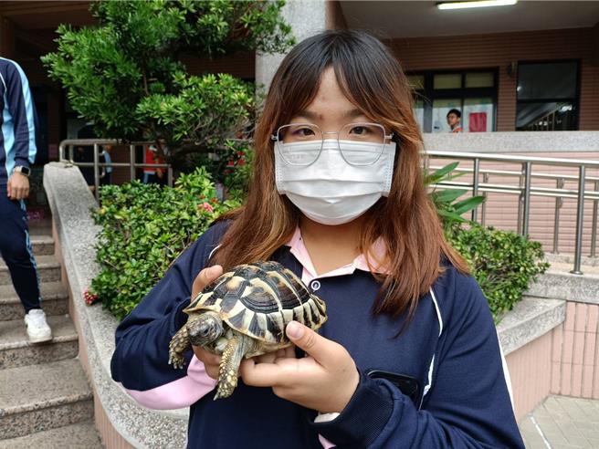 致用高中23日举行宠物日活动，孩子带着心爱赫曼陆龟一起上学。（陈淑娥摄）