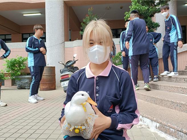 致用高中23日举行宠物日活动，孩子带着心爱柯尔鸭一起上学。（陈淑娥摄）