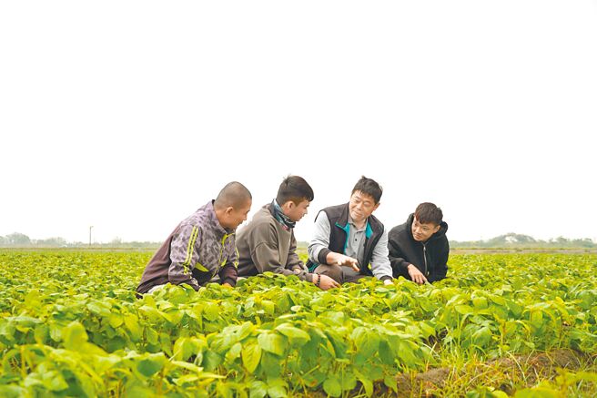 虎科大建立有機農業示範場域，將教學拉至產業現場。圖／虎科大提供