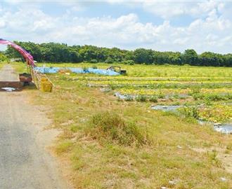 台南綠能產業園區環評遭駁回 南市府回應了