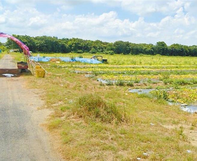 台南綠能產業園區24日開環評大會，環委認定本案不應開發。（台南市政府提供／曹婷婷台南傳真）