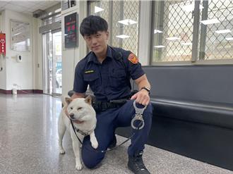 柴柴走失！永康警PO照協尋 「靦腆男警」吸睛網歪樓：想認領