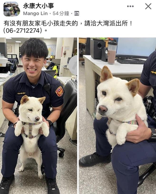 陈姓员警帮柴犬拍照上网协寻，结果网友都歪楼。(摘自脸书社团「永康大小事」／曹婷婷台南传真)