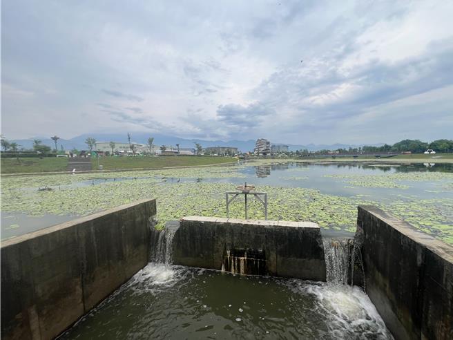 潮州鐵道園區打造蓄洪池後，不僅成功解決屏東縣潮州鎮水患問題，還因生態友善吸引候鳥駐留，有效結合環境教育與觀光發展。（謝佳潾攝）