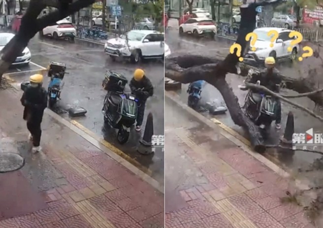 街边的路树突然倒塌，外送员幸运刚好闪过没被砸重。（图／翻摄微博）