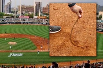 中職》澄清湖棒球場比賽中紅土「拉出鋼條」 聯盟說話了