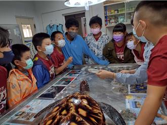 迎世界龜龜日 墾管處「海龜、海歸、海瑰」喚起保育意識