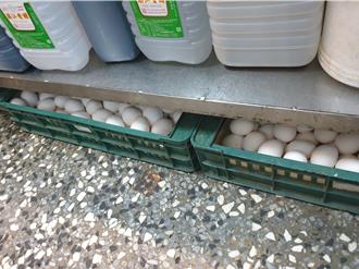 八点挡女星吃北市知名皮蛋麵狂拉肚子 北市卫生局揪6大缺失