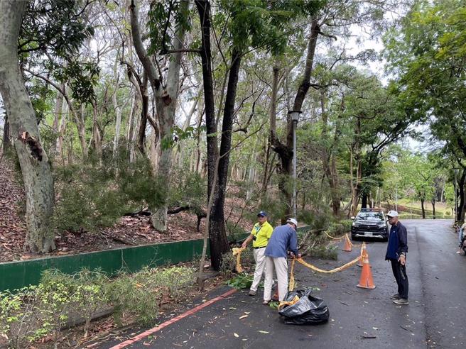 66岁李姓男子今日上午在高雄市鸟松区澄清湖园区步行时，被突如其来的路树压伤倒地，经路人发现赶紧报警求助，警消赶到现场，发现李男已失去呼吸、心跳，紧急将他送往就近长庚医院救治后，仍宣告不治，是否风雨过大造成树倒，警方将进一步调查厘清。（警消提供／林雅惠高雄传真）