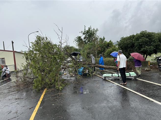 彰化县芬园乡社口邮局孙姓邮务士，26日中午执勤途中遭倒塌的路树砸中身亡。（民眾提供／孙英哲彰化传真）
