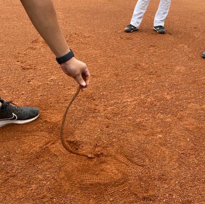 中职24日在澄清湖棒球场进行的二军赛事中，内野红土区出现钢条。（中职提供）