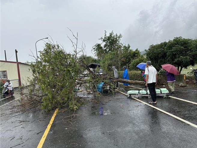 彰化县芬园乡社口邮局孙姓邮务士，26日中午执勤途中遭倒塌的路树砸中身亡。（民眾提供／孙英哲彰化传真）