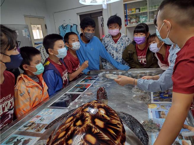 墾管處將舉辦海龜保育活動，喚起海龜保育意識，重視海洋保育。（墾管處提供／羅琦文屏東傳真）