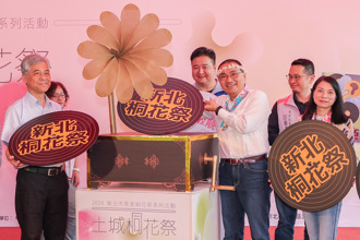 新北客家桐花祭花漾登場 聽民歌逛市集一探雪白美景