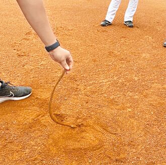 天啊！澄清湖棒球場壘包旁 插鋼條