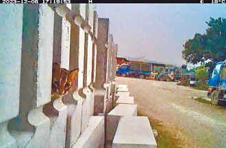 南投鳥嘴潭人工湖 4年監測21隻石虎