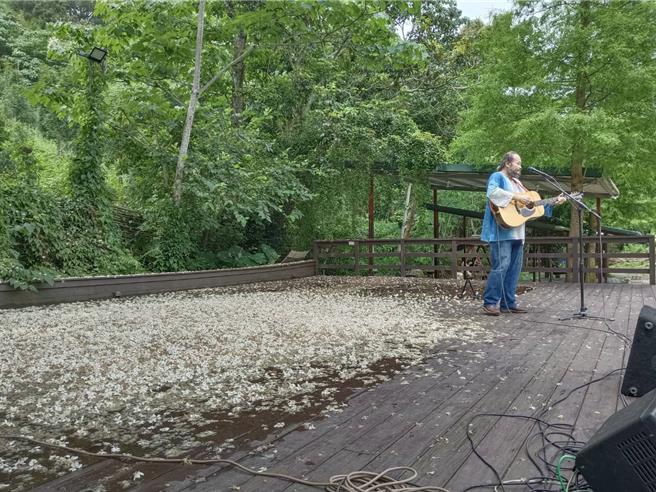 客家歌手谢宇威在舞台上唱歌，地上铺满了桐花五月雪。（邱立雅摄）