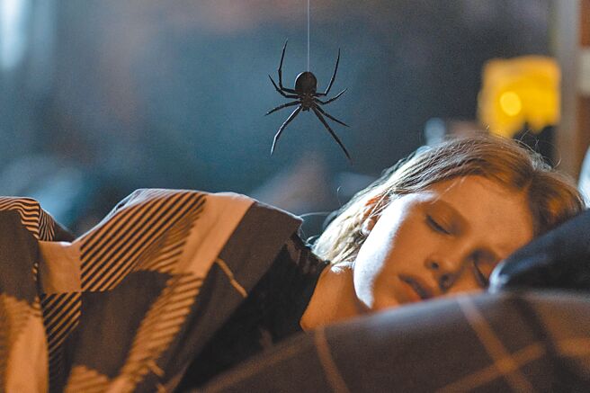 电影中从天而降的巨型蜘蛛，是许多人的梦魇。（采昌提供）