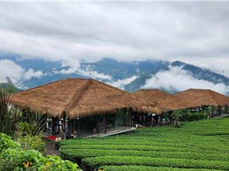 餘震連連又下雨 嘉義山區逾半遊客卻步退房、退餐