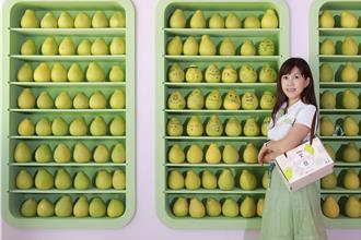 大陸宣布將批准台灣文旦輸入 麻豆農會盼穩定交流