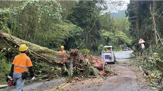 山區大樹壓斷電線！南投鹿谷午後停電2257戶