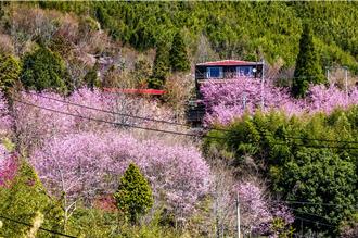 國土法3戶以下非部落禁開發 竹縣原民處長放話帶泰雅族抗議
