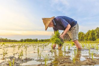 鼓勵農民加入職災保險 中市加碼補助一半自負額