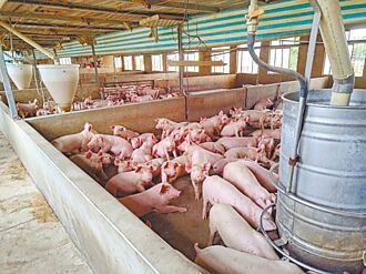 苗縣放寬牧場設置範圍 民代反彈