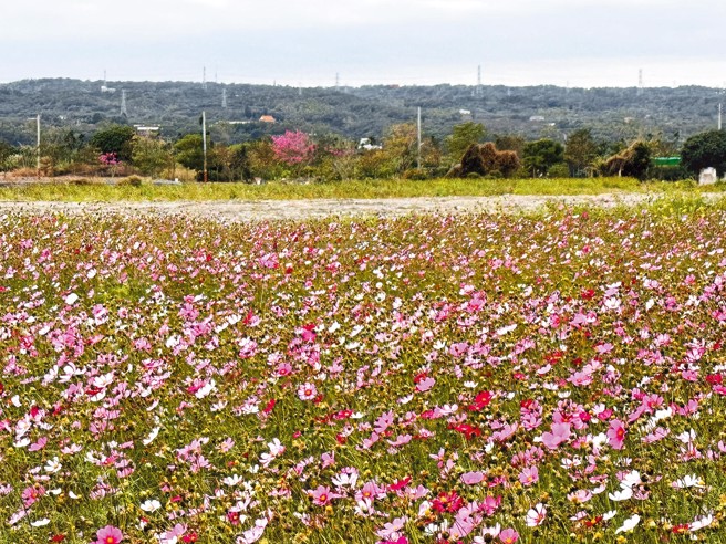 国土计画法2025年4月30日正式上路，土地利用规范有新制（示意图／资料照）