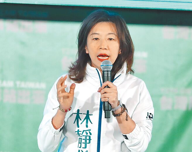 民进党前立委林静仪。（本报资料照片）