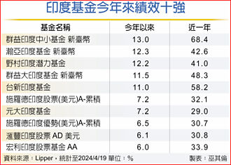 經濟強勁 印度基金長線正向